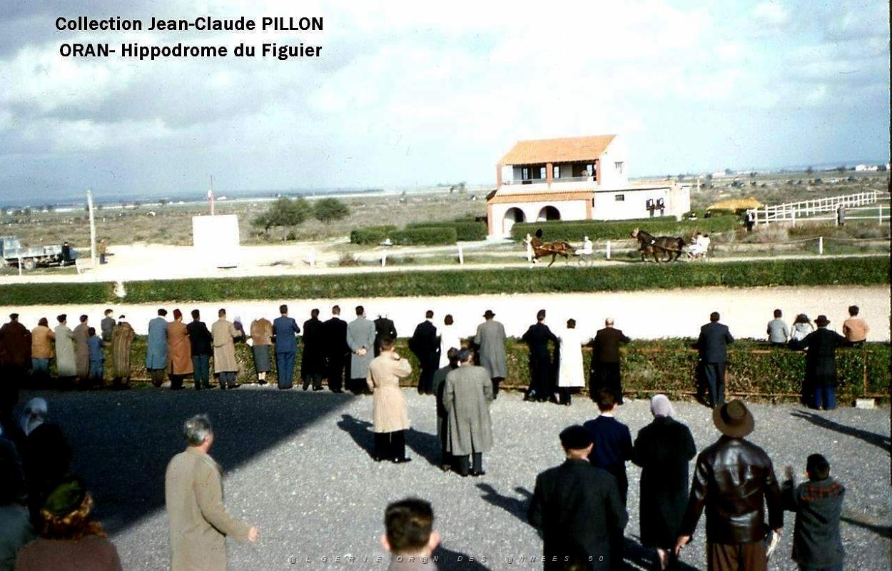 Oran- SDV- 4546- Pillon.JPG